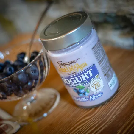 Le Coin Des Melezes - Ski, Nature & Trek - In Di Montagna Pensión Brusson