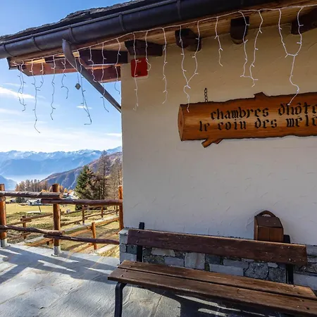 Le Coin Des Melezes - Nature & Trek - In Di Montagna Guest house