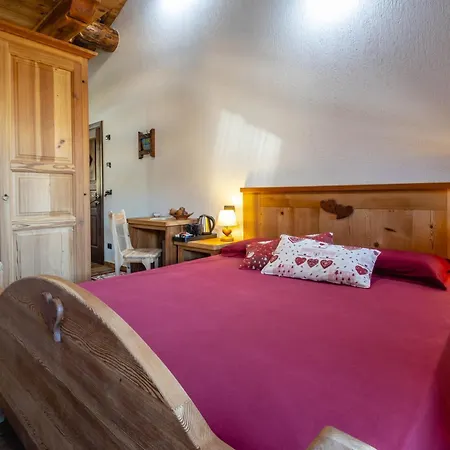 Le Coin Des Melezes - Ski, Nature & Trek - In Di Montagna