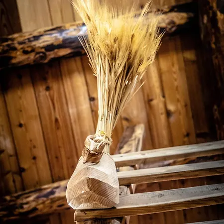 Pensión Le Coin Des Melezes - Ski, Nature & Trek - In Di Montagna Brusson