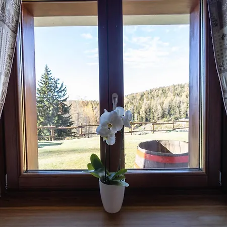 Pensión Le Coin Des Melezes - Ski, Nature & Trek - In Di Montagna Brusson