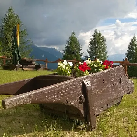 Le Coin Des Melezes - Ski, Nature & Trek - In Di Montagna Pensión