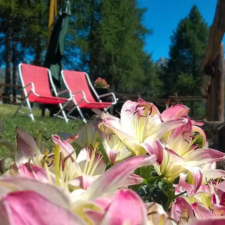 Pensionat Le Coin Des Melezes - Ski, Nature & Trek - In Di Montagna