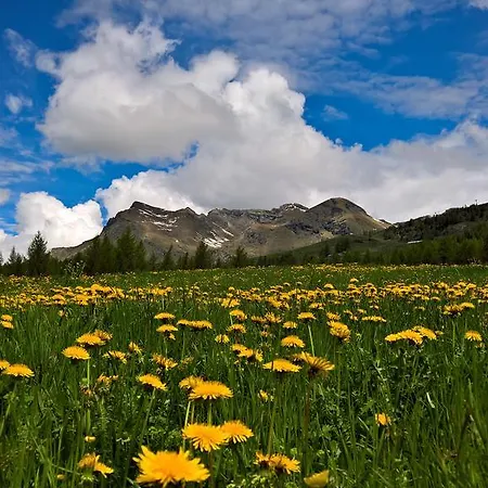 Pensión Le Coin Des Melezes - Ski, Nature & Trek - In Di Montagna 3*