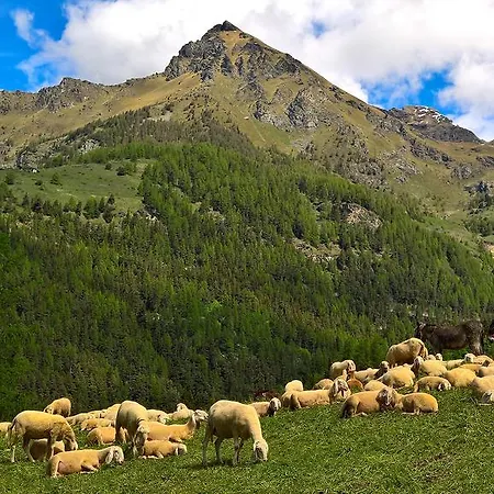 Le Coin Des Melezes - Ski, Nature & Trek - In Di Montagna Brusson