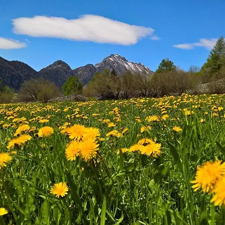 Le Coin Des Melezes - Ski, Nature & Trek - In Di Montagna