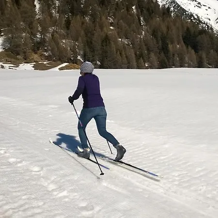 Pensionat Le Coin Des Melezes - Ski, Nature & Trek - In Di Montagna