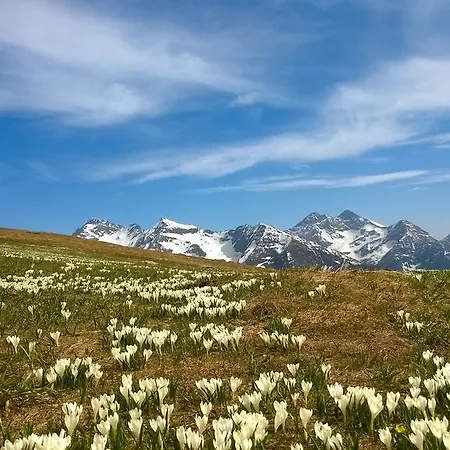 Le Coin Des Melezes - Ski, Nature & Trek - In Di Montagna Brusson