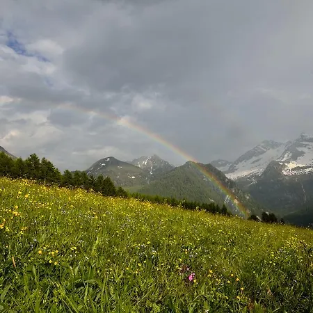 Le Coin Des Melezes - Ski, Nature & Trek - In Di Montagna