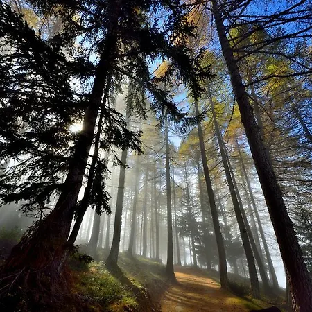 Pensión Le Coin Des Melezes - Ski, Nature & Trek - In Di Montagna