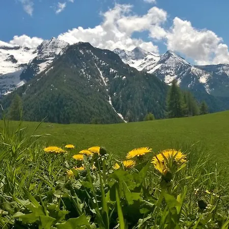 Le Coin Des Melezes - Nature & Trek - In Di Montagna Guest house *