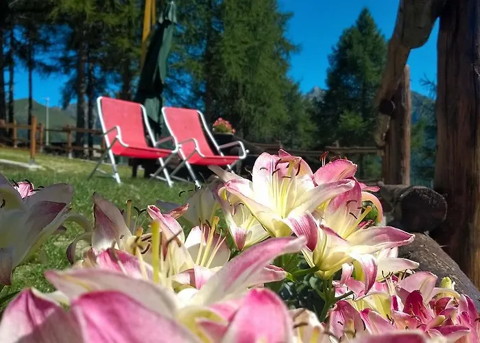 Guest house Le Coin Des Melezes - Ski, Nature & Trek - In Di Montagna