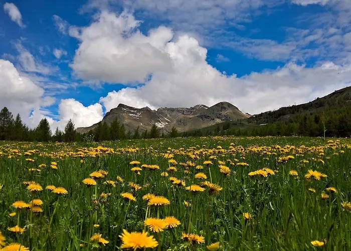 Guest house Le Coin Des Melezes - Ski, Nature & Trek - In Di Montagna 3*