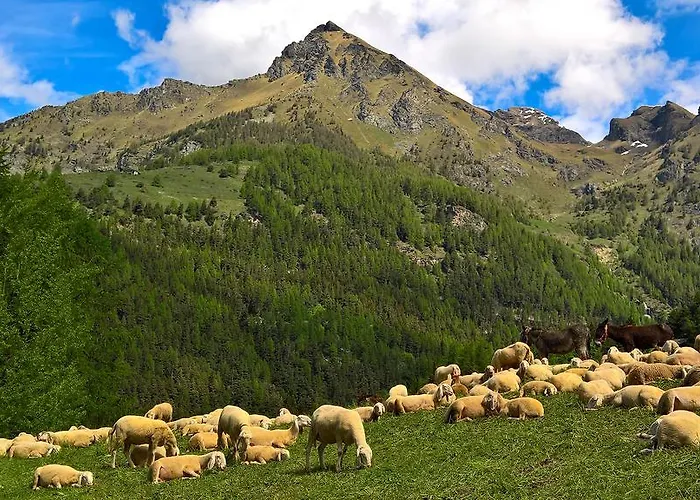 Le Coin Des Melezes - Ski, Nature & Trek - In Di Montagna Brusson