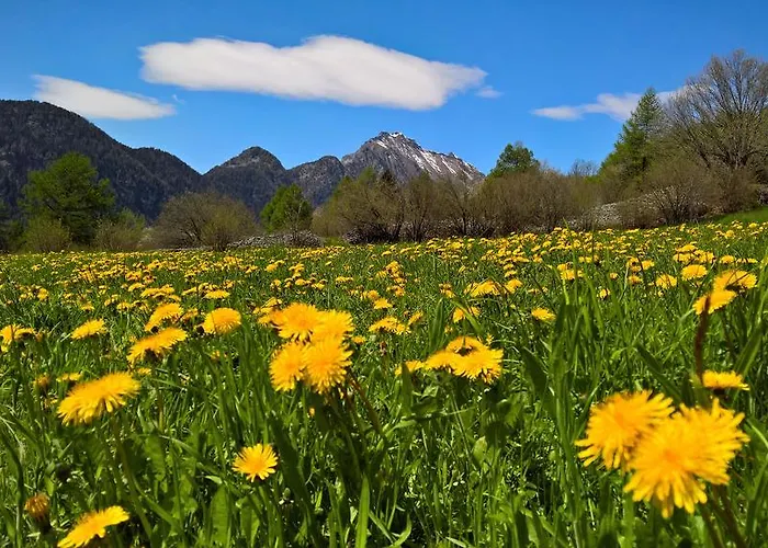 Le Coin Des Melezes - Ski, Nature & Trek - In Di Montagna