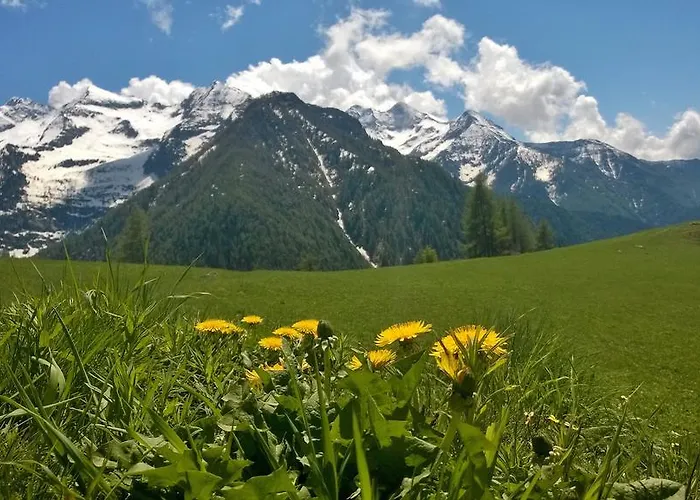 Le Coin Des Melezes - Ski, Nature & Trek - In Di Montagna Guest house 3*